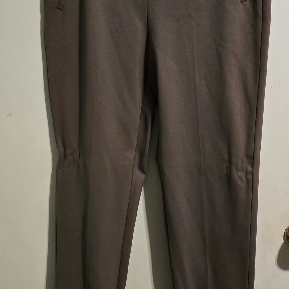 Chico's Men's Tan Chinos
